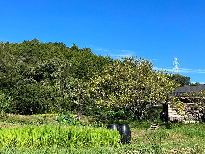 緑志園