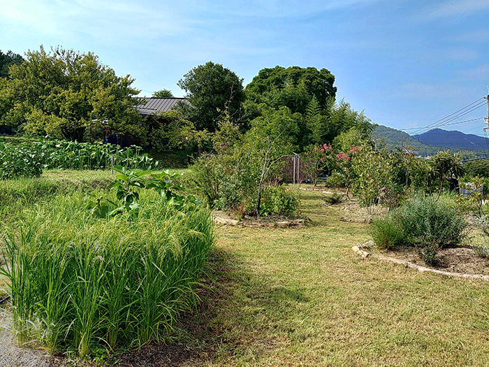 緑志園