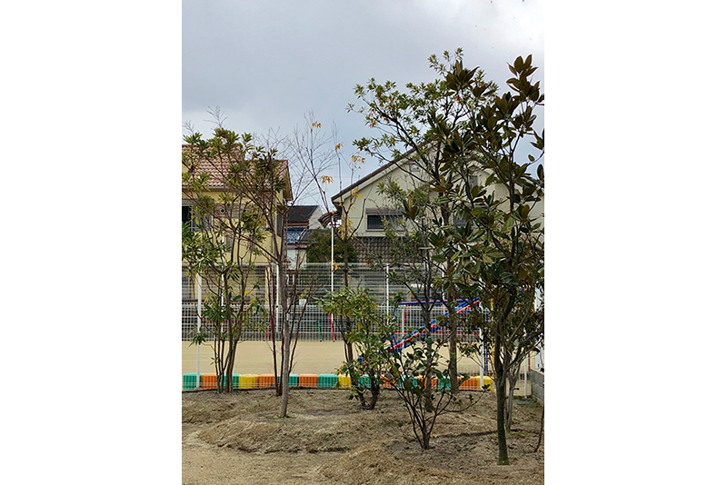 保育園の庭作り