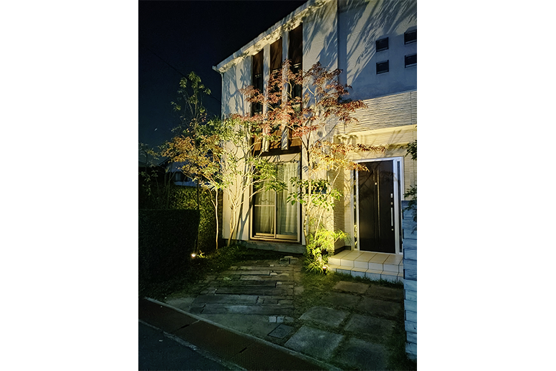 事務所の庭